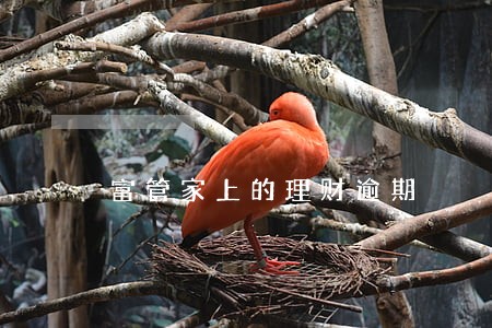 富管家上的理财逾期 富管家上的理财逾期