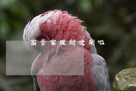 富管家理财逾期吧 富管家理财逾期吧