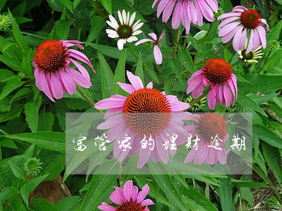 富管家的理财逾期