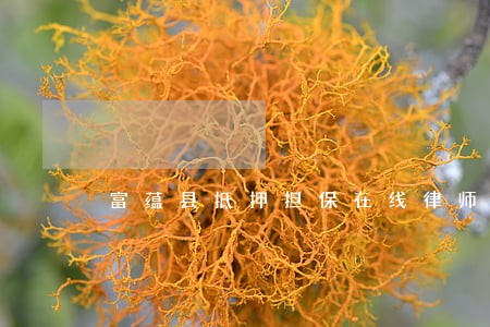 富蕴县抵押担保在线律师