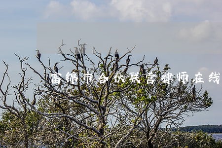 富锦市合伙联营律师在线免费咨询 富锦市合伙联营律师在线免费咨询