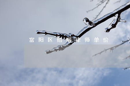 富阳区婚姻律师单价 富阳区婚姻律师单价