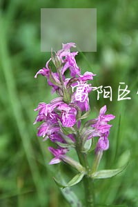 富阳区快速离婚律师 富阳区快速离婚律师