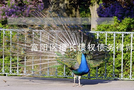 富阳区擅长债权债务律师电话 富阳区擅长债权债务律师电话