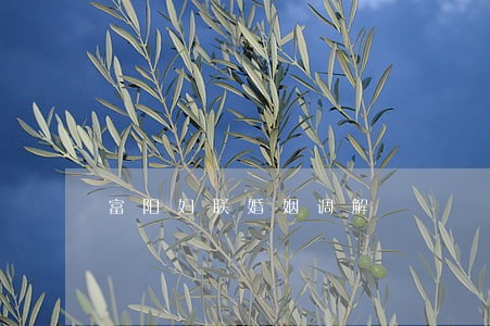 富阳妇联婚姻调解