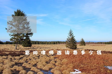 富阳律师咨询费多少钱 富阳律师咨询费多少钱
