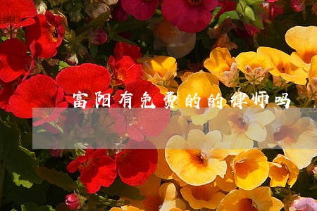 富阳有免费的的律师吗 富阳有免费的的律师吗