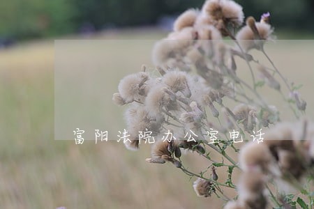 富阳法院办公室电话 富阳法院办公室电话