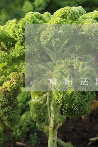 富阳法院审理直播 富阳法院审理直播