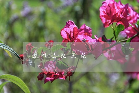 富阳法院王强 富阳法院王强