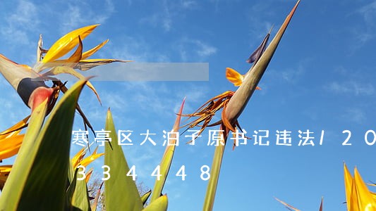 寒亭区大泊子原书记违法/2023020334448