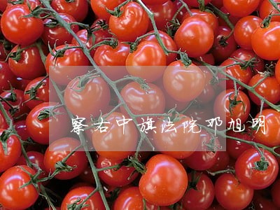 察右中旗法院邓旭明 察右中旗法院邓旭明