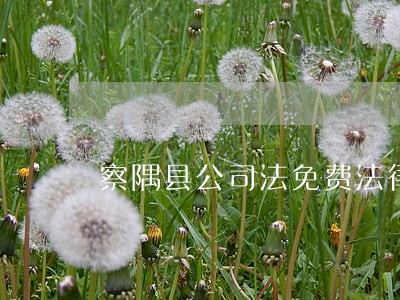 察隅县公司法免费法律咨询热线 察隅县公司法免费法律咨询热线