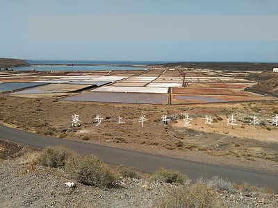 寮步上半年查处违法建筑31宗