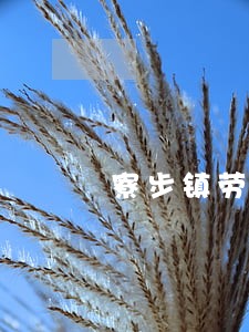 寮步镇劳动纠纷在线律师 寮步镇劳动纠纷在线律师