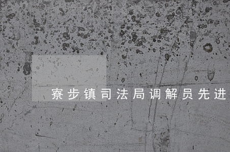 寮步镇司法局调解员先进个人