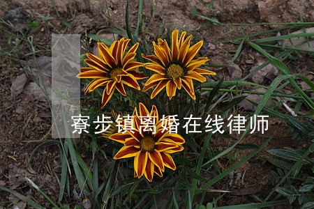 寮步镇离婚在线律师