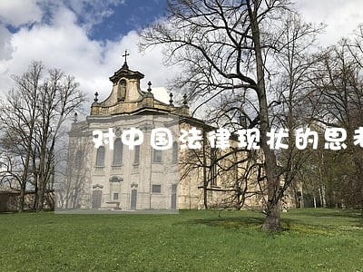 对中国法律现状的思考