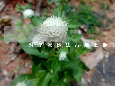 对举报违法占用土地不服 对举报违法占用土地不服