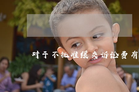 对于不批准缓交诉讼费有异议 对于不批准缓交诉讼费有异议