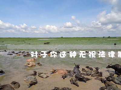 对于你这种无视法律制度 对于你这种无视法律制度