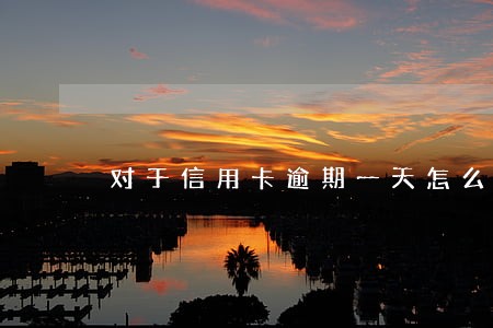 对于信用卡逾期一天怎么办
