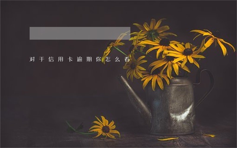 对于信用卡逾期你怎么看 对于信用卡逾期你怎么看