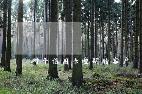 对于信用卡逾期的客户 对于信用卡逾期的客户