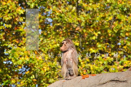 对于信用卡逾期的理解 对于信用卡逾期的理解