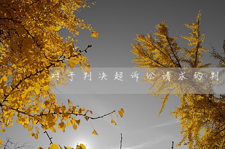 对于判决超诉讼请求的判决上诉 对于判决超诉讼请求的判决上诉