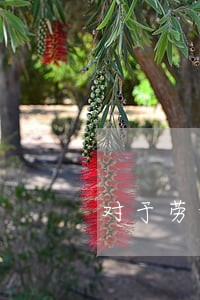 对于劳动合同法的争议 对于劳动合同法的争议