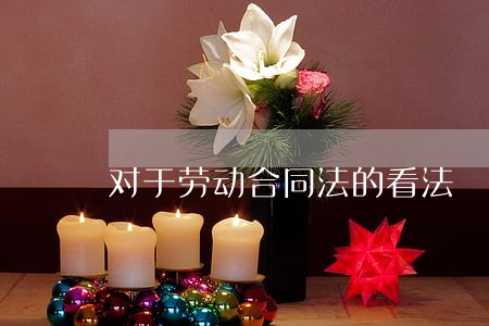 对于劳动合同法的看法 对于劳动合同法的看法