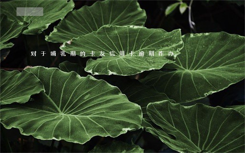 对于哺乳期的卡友信用卡逾期咋办 对于哺乳期的卡友信用卡逾期咋办