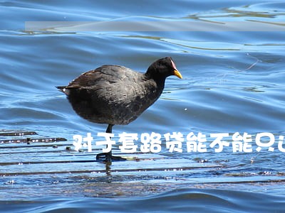 对于套路贷能不能只还本金 对于套路贷能不能只还本金