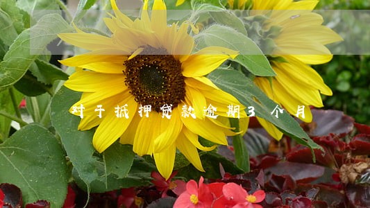 对于抵押贷款逾期3个月 对于抵押贷款逾期3个月