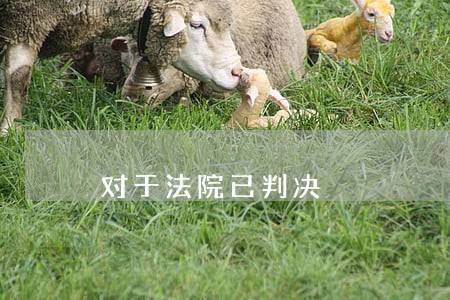 对于法院已判决 对于法院已判决