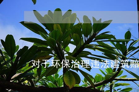 对于环保治理违法建筑赔偿费问题 对于环保治理违法建筑赔偿费问题
