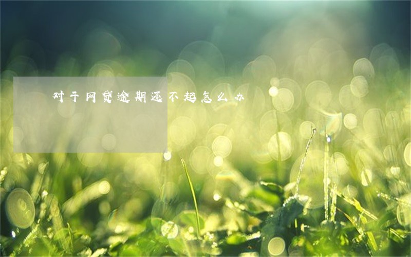 对于网贷逾期还不起怎么办 对于网贷逾期还不起怎么办