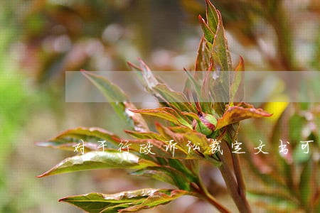 对于行政诉讼裁定文书可诉吗 对于行政诉讼裁定文书可诉吗