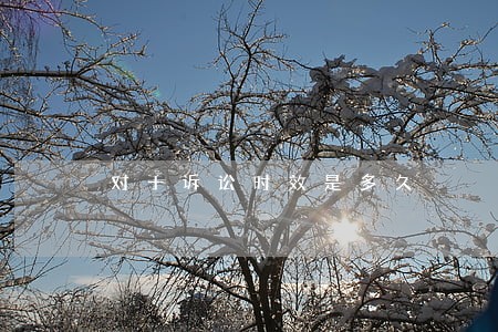 对于诉讼时效是多久 对于诉讼时效是多久