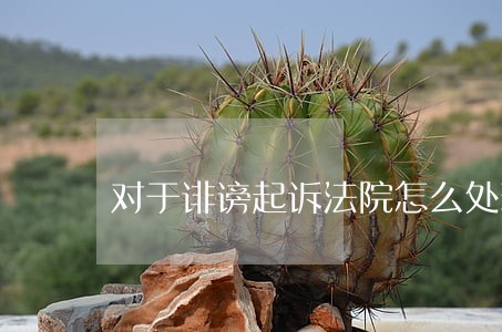对于诽谤起诉法院怎么处理 对于诽谤起诉法院怎么处理