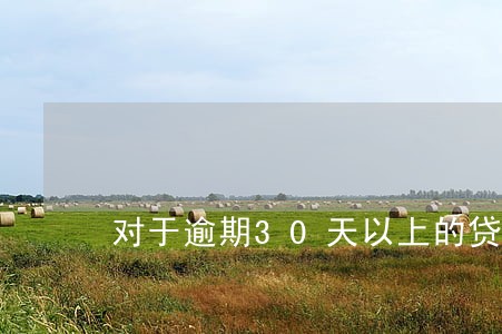 对于逾期30天以上的贷款不良 对于逾期30天以上的贷款不良