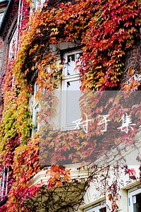 对于集体土地的违法建筑没收