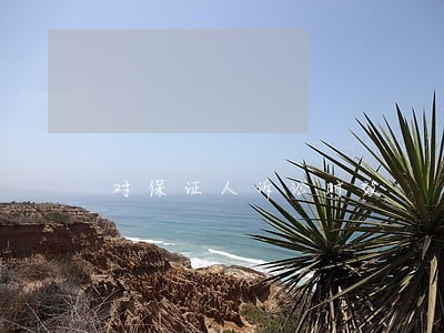 对保证人诉讼时效 对保证人诉讼时效