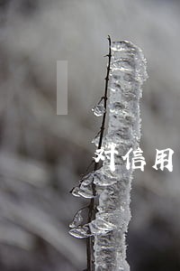 对信用卡逾期30次的男人 对信用卡逾期30次的男人