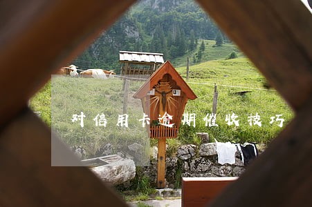 对信用卡逾期催收技巧 对信用卡逾期催收技巧