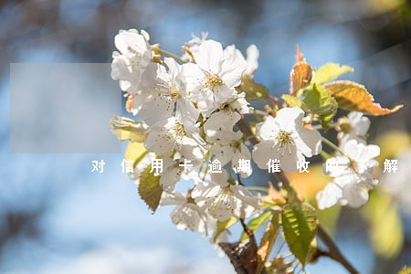 对信用卡逾期催收的了解 对信用卡逾期催收的了解