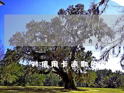 对信用卡逾期的处理 对信用卡逾期的处理