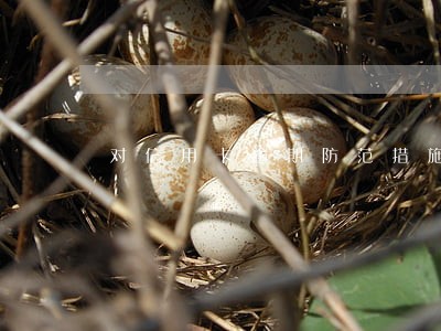 对信用卡逾期防范措施 对信用卡逾期防范措施