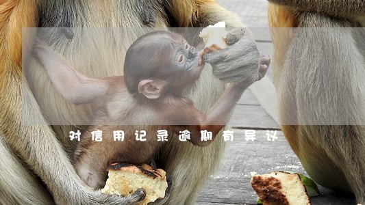 对信用记录逾期有异议 对信用记录逾期有异议